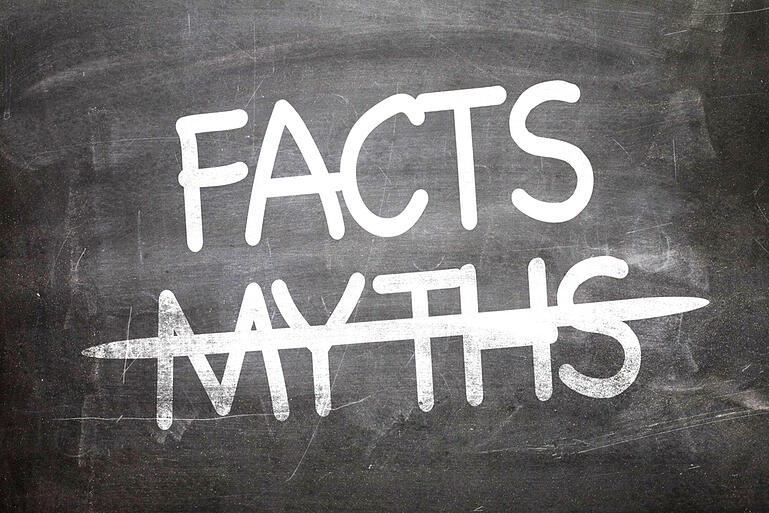 Myths in The IT Industry