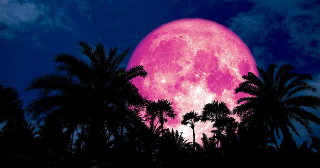 Pink Moon at Dawn