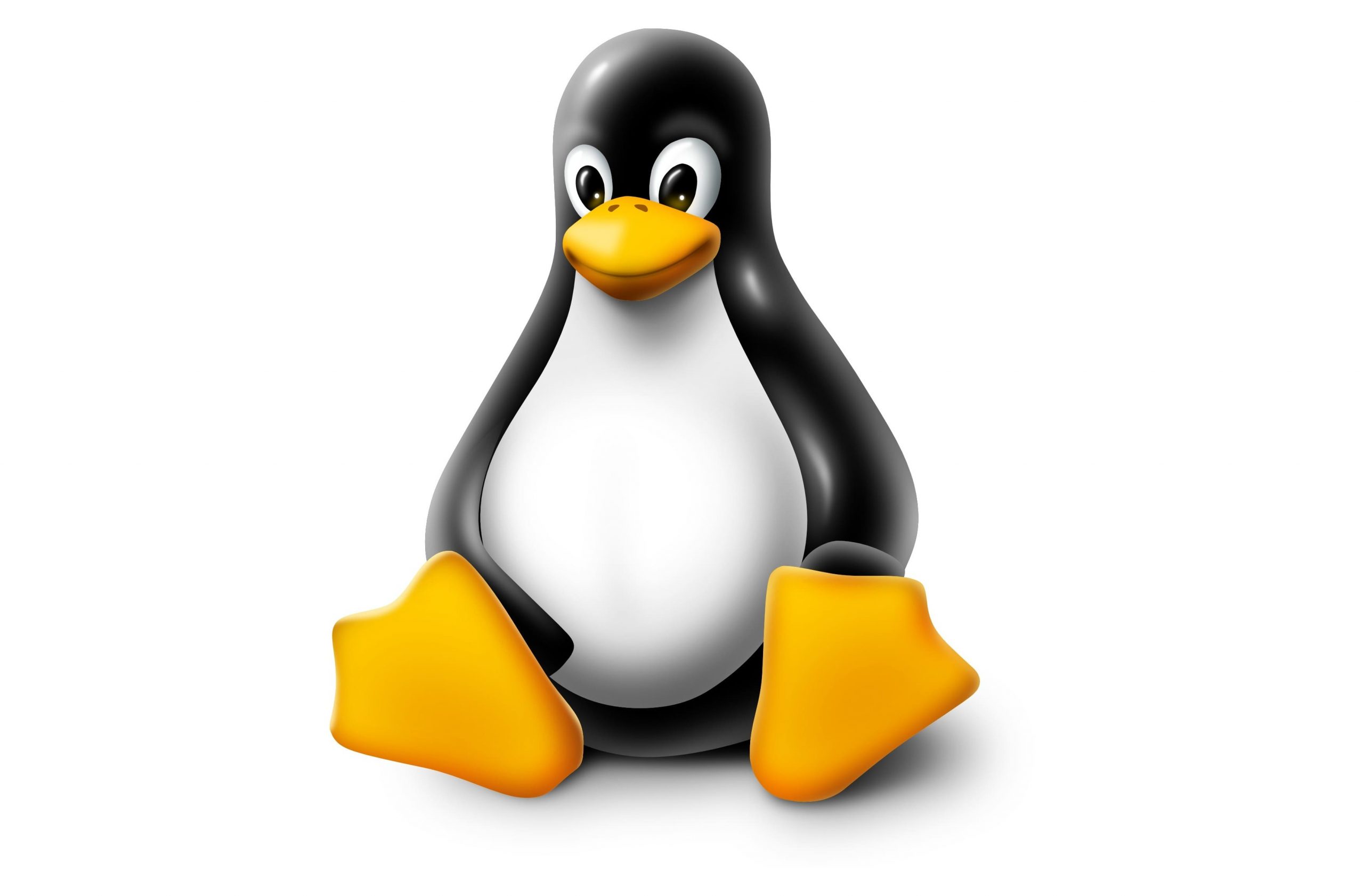 Affordable Linux Hosting in India...