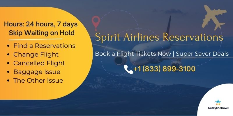 How Do I Contact Spirit Airlines Phone Number