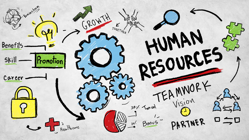 Human Resources Employment Job Teamwork Vision Concept