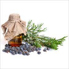 Do Want to Reap the Benefits of Juniper Berry Oil?