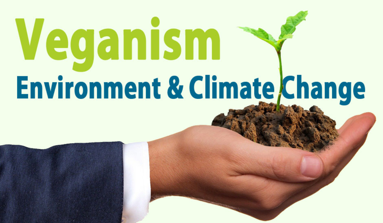 Can Vegetarianism Help Reduce Climate Change?